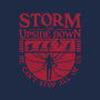 Storm The Upside Down-Mens-Long Sleeved-Tee-teesgeex