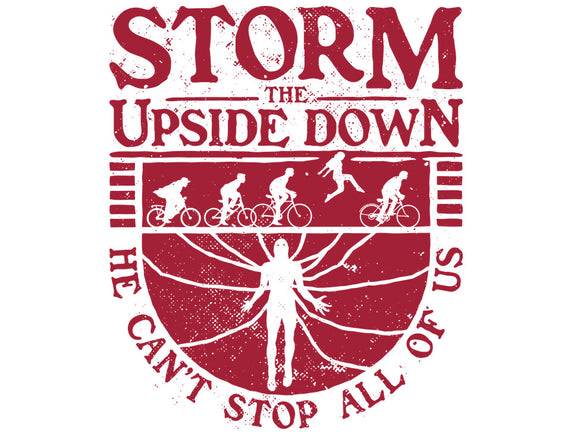 Storm The Upside Down