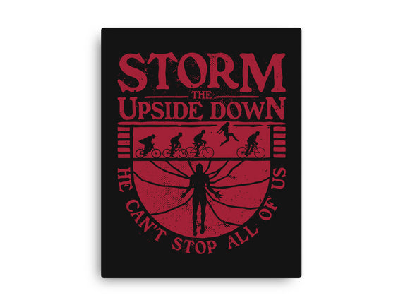 Storm The Upside Down