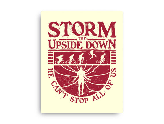 Storm The Upside Down