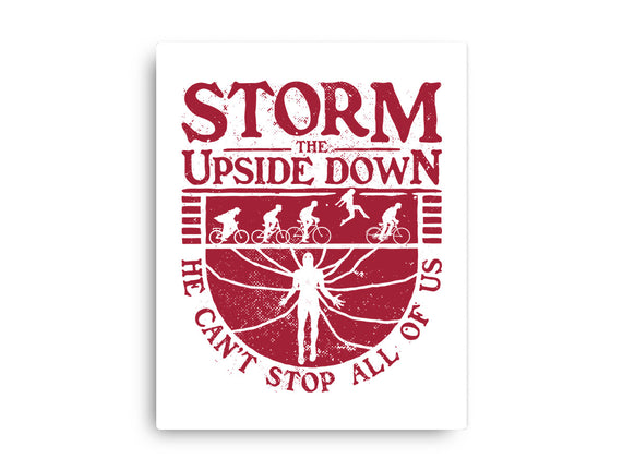 Storm The Upside Down