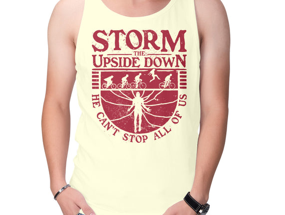 Storm The Upside Down