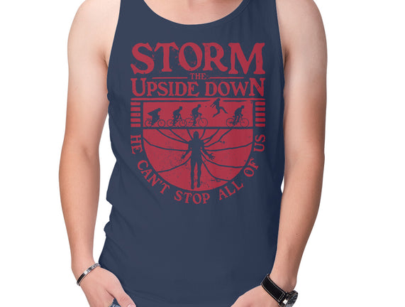 Storm The Upside Down