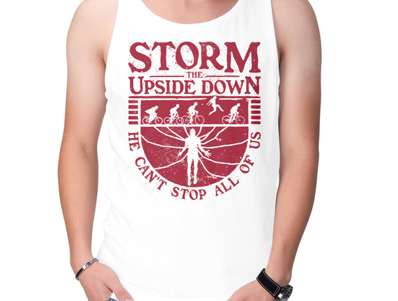 Storm The Upside Down