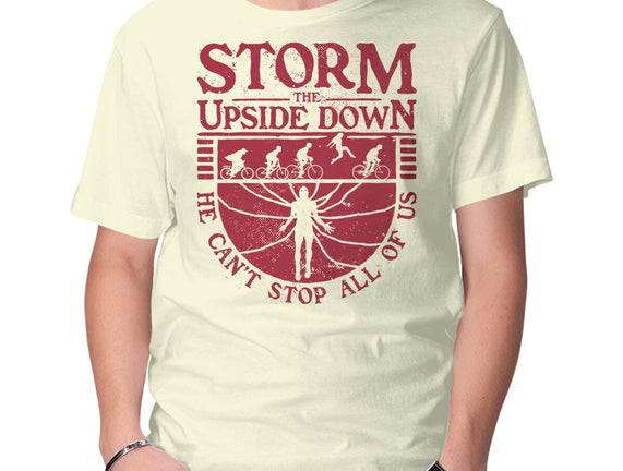 Storm The Upside Down