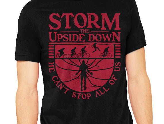 Storm The Upside Down