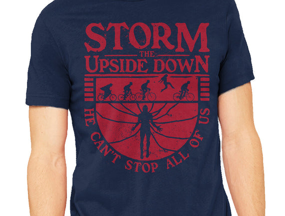 Storm The Upside Down