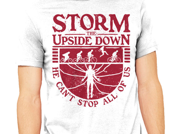 Storm The Upside Down