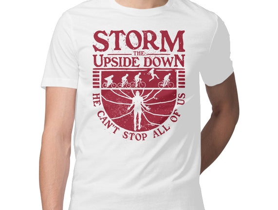 Storm The Upside Down