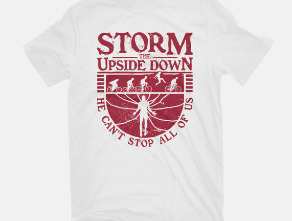 Storm The Upside Down