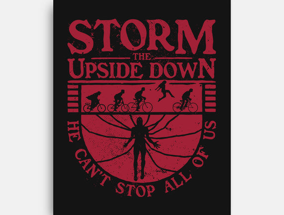 Storm The Upside Down