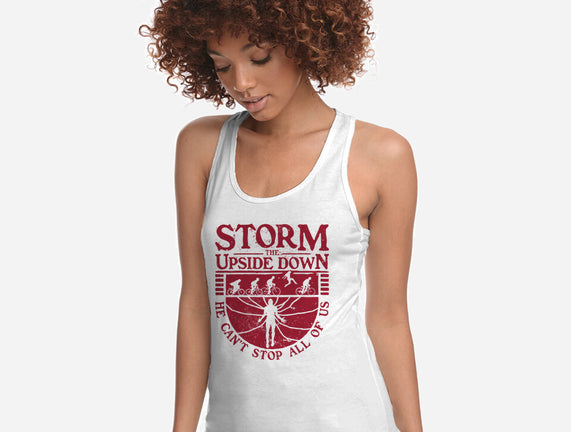 Storm The Upside Down