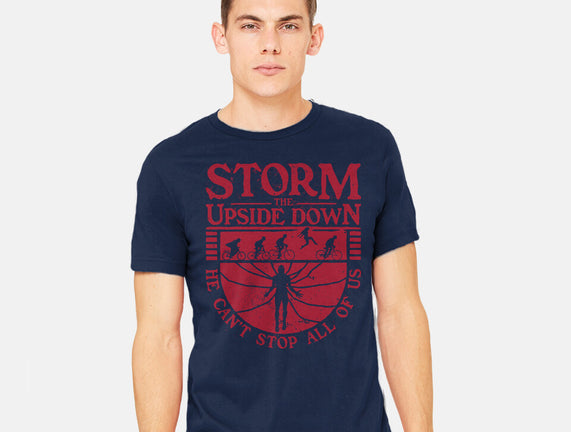 Storm The Upside Down