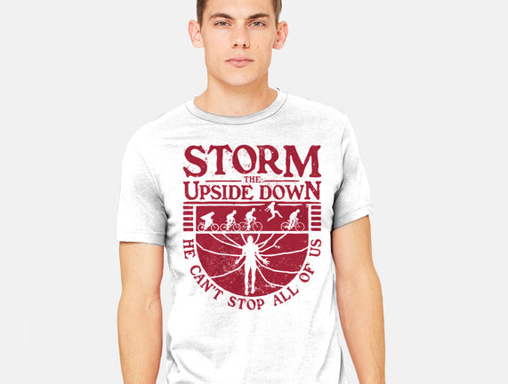 Storm The Upside Down