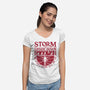 Storm The Upside Down-Womens-V-Neck-Tee-teesgeex