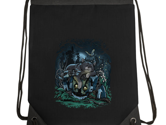 The Cat And The Robot