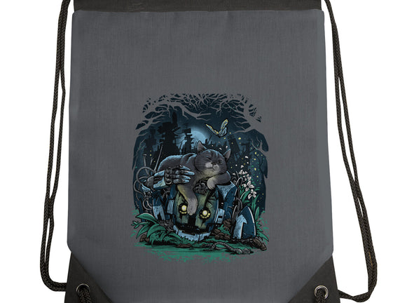 The Cat And The Robot