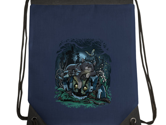 The Cat And The Robot