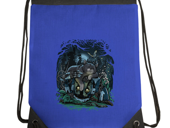 The Cat And The Robot