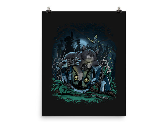 The Cat And The Robot