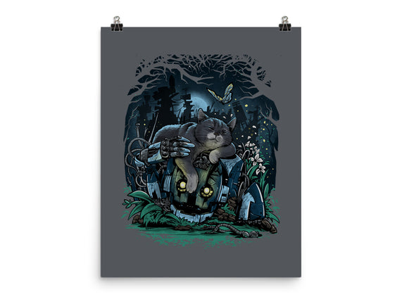 The Cat And The Robot