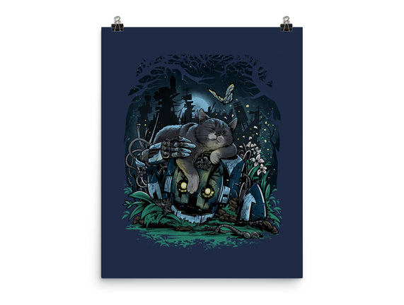 The Cat And The Robot