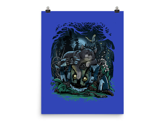 The Cat And The Robot