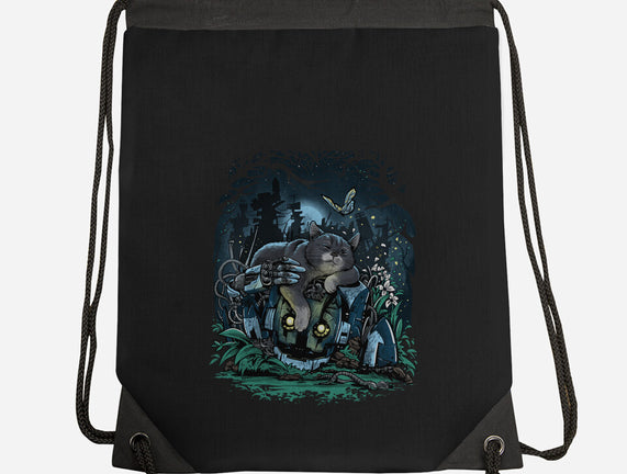 The Cat And The Robot