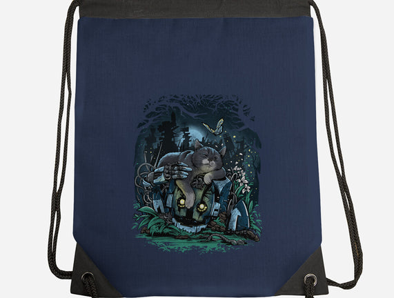 The Cat And The Robot