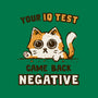 IQ Test Results-Womens-Fitted-Tee-kg07