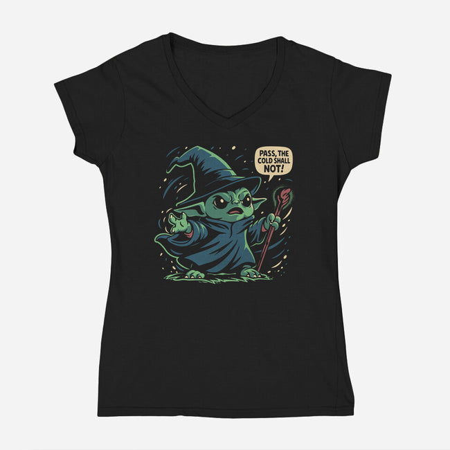 The Cold Shall Not Pass-Womens-V-Neck-Tee-Popnotic