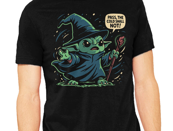 The Cold Shall Not Pass