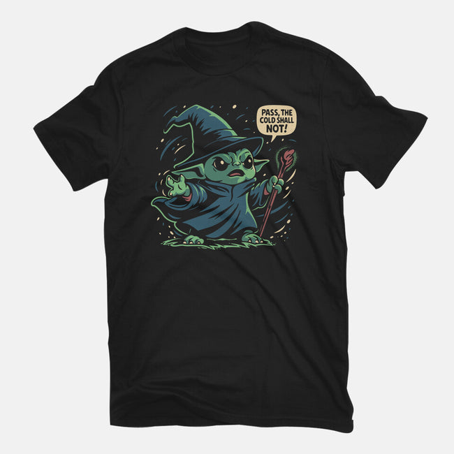The Cold Shall Not Pass-Womens-Fitted-Tee-Popnotic