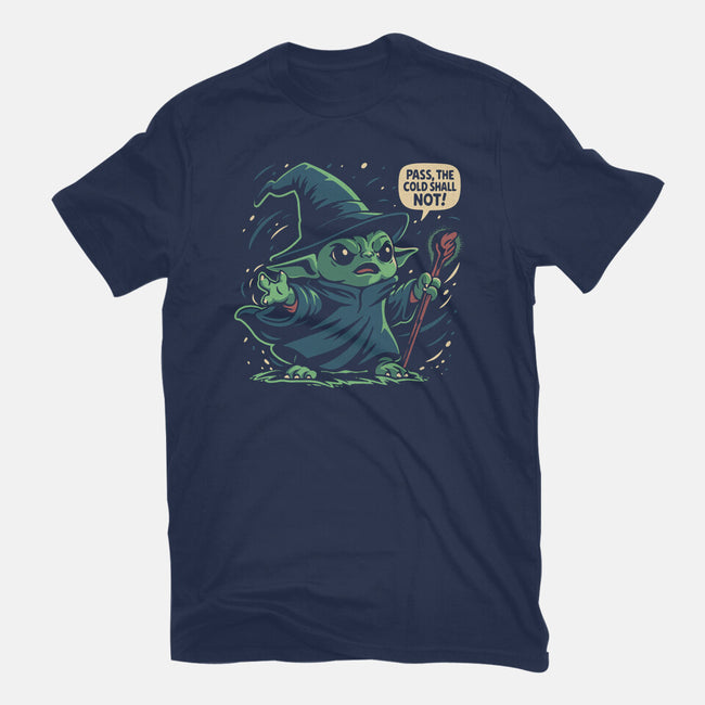 The Cold Shall Not Pass-Womens-Fitted-Tee-Popnotic