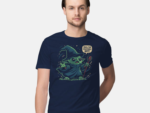 The Cold Shall Not Pass