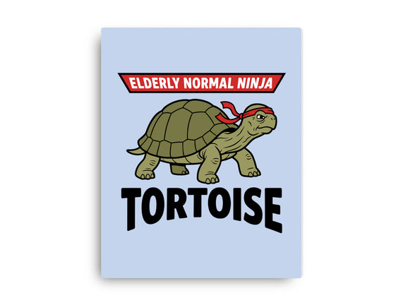 Elderly Normal Ninja