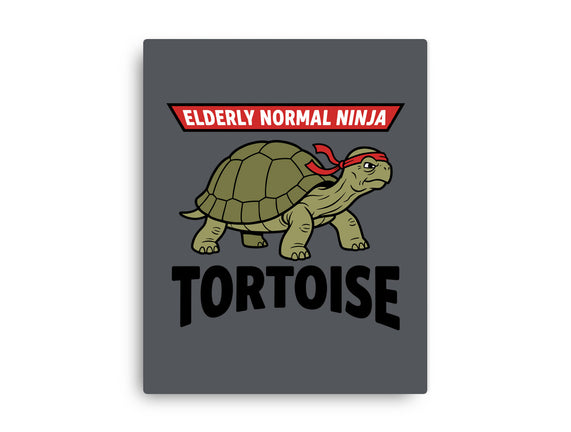 Elderly Normal Ninja