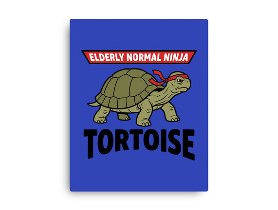 Elderly Normal Ninja