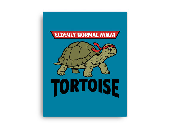 Elderly Normal Ninja