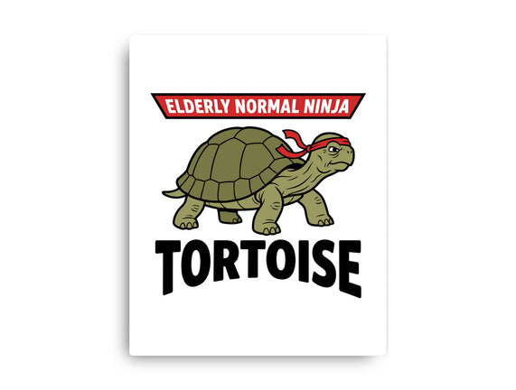 Elderly Normal Ninja