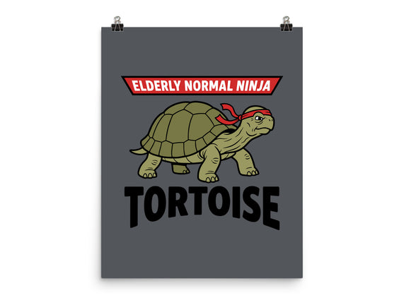 Elderly Normal Ninja