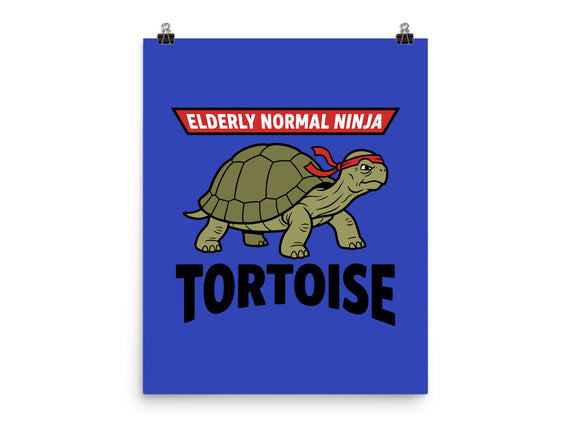 Elderly Normal Ninja