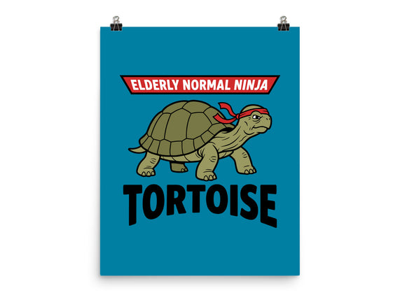 Elderly Normal Ninja