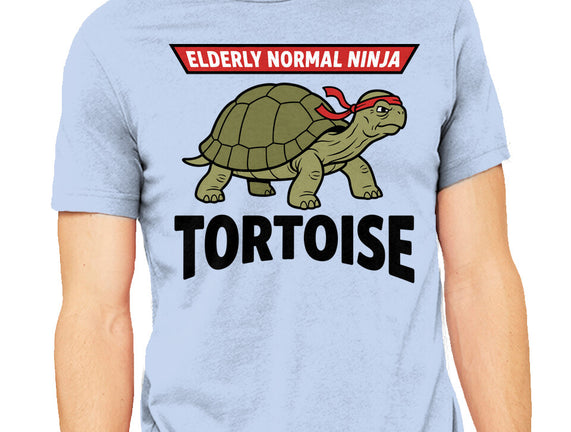 Elderly Normal Ninja