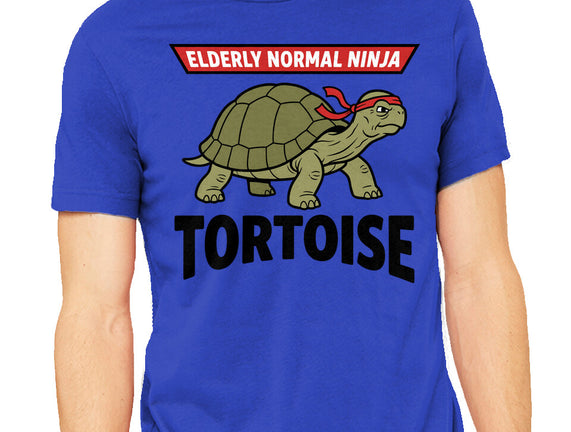 Elderly Normal Ninja