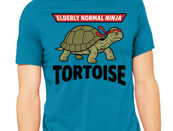 Elderly Normal Ninja