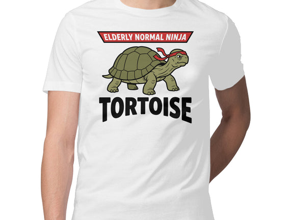 Elderly Normal Ninja