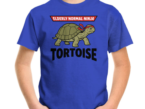 Elderly Normal Ninja