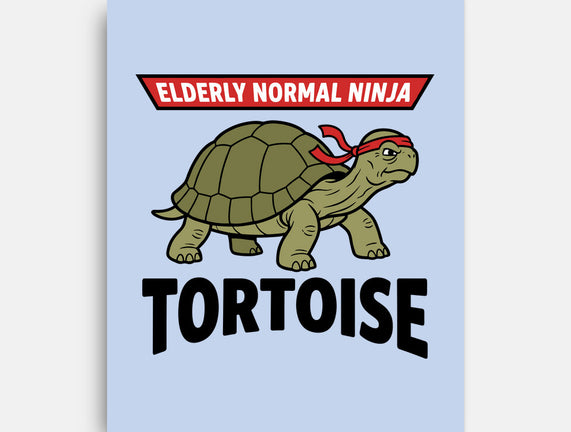 Elderly Normal Ninja