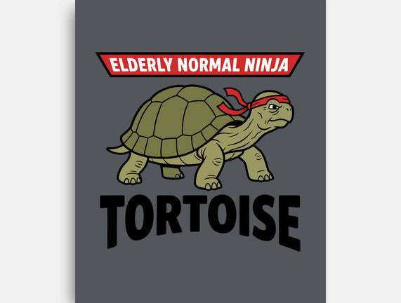 Elderly Normal Ninja